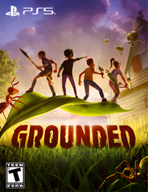 GROUNDED - PS5